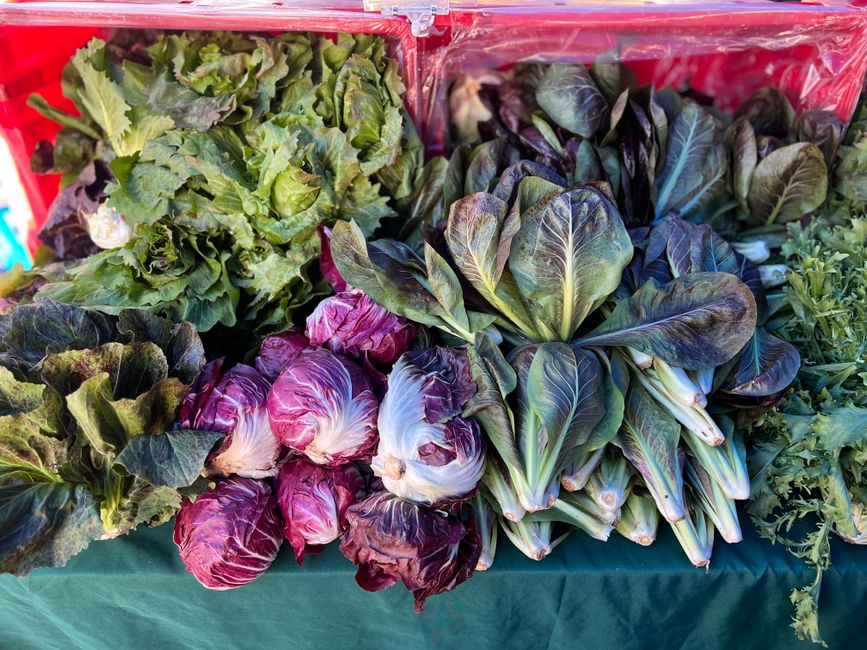 Fresh assorted vegetables displayed at a farmers market